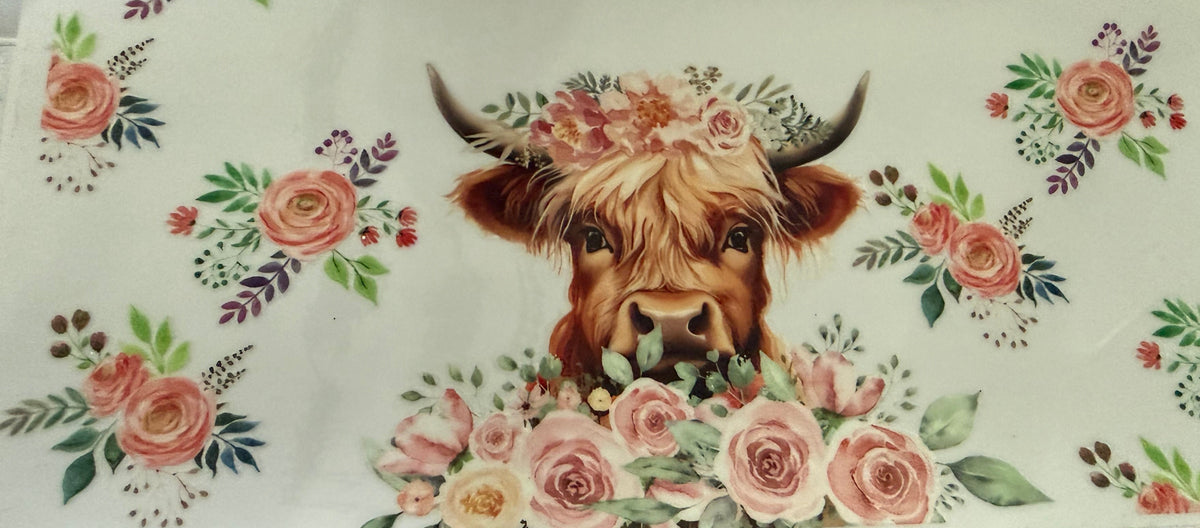 Highland Cow - #14