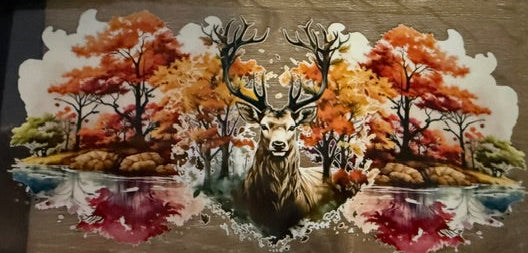 Animals - Deer
