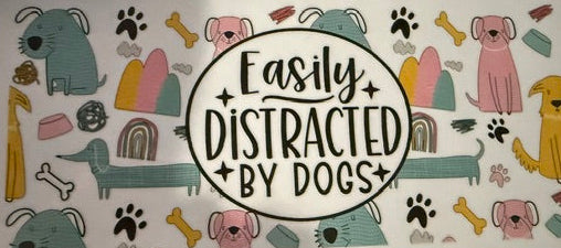 Animals - Easily Distracted by dogs