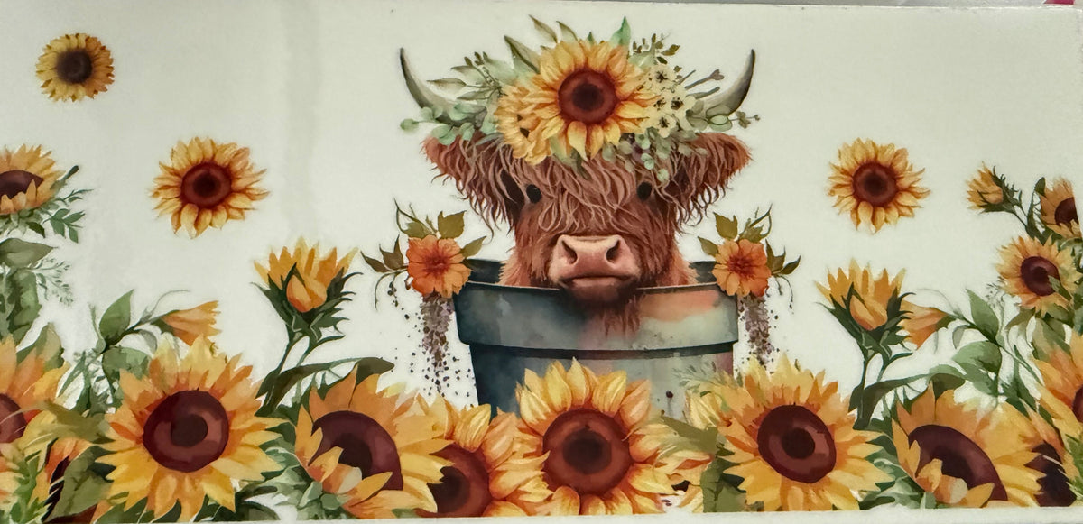 Highland Cow - #11