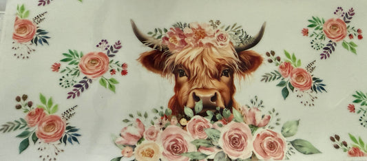 Highland Cow - #14