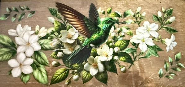 Flowers  - Hummingbird
