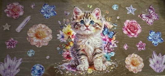 Animals - Cute Cat #1