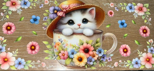 Animals - Cute Cat #2