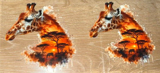 Animals - Giraffe